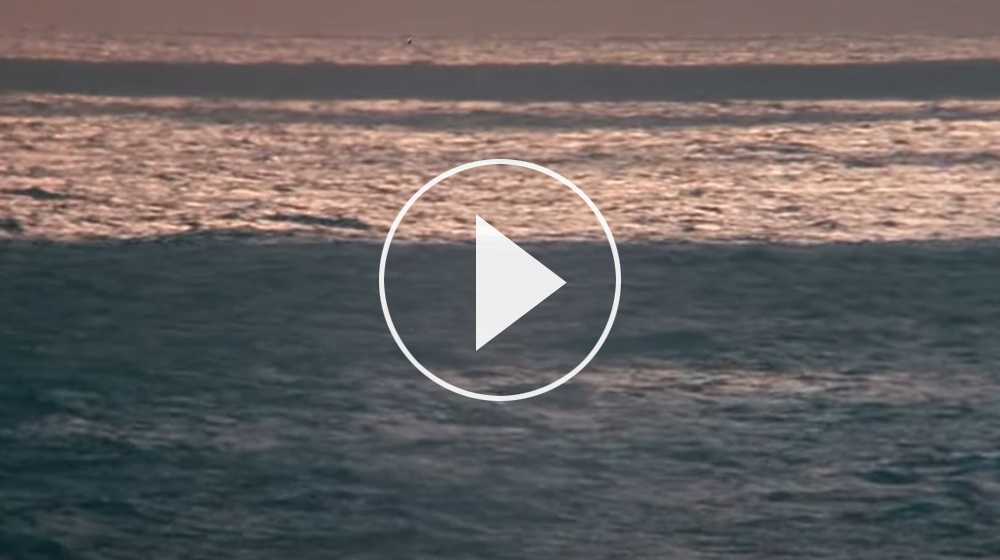 Rumjig - Oceans